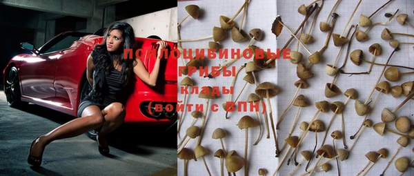 mdpv Майский